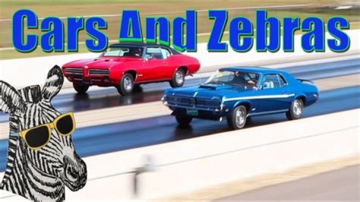 Cars And Zebras video statistics