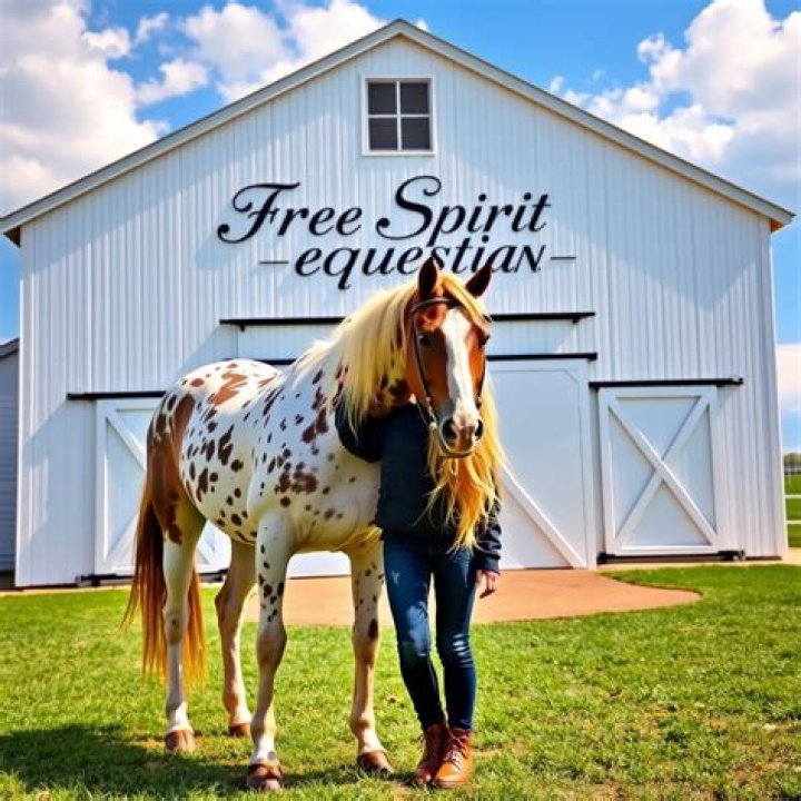 Free Spirit Equestrian ვიდეო სტატისტიკის