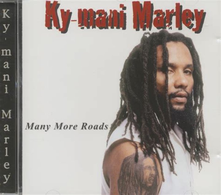 
How Much Money Does Ky-Mani Marley Make? Latest Income Salary
