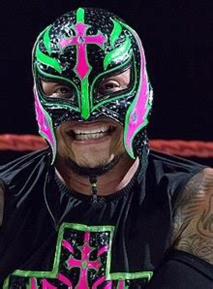 
How Much Money Does Rey Mysterio Make? Latest Income Salary
