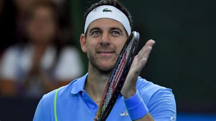 Juan Martin del Potro Net Worth & Earnings (2024)
